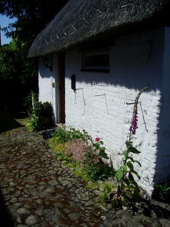 Stable Cottage ดิไวเซส ภายนอก รูปภาพ